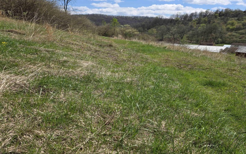 TBD Simpson Run Road, Weston, West Virginia 26452, ,Lots/land,For Sale,Simpson Run,10164098 TBD Simpson Run Road, Weston, West Virginia 26452, ,Lots/land,For Sale,Simpson Run,10164098