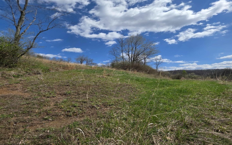 TBD Simpson Run Road, Weston, West Virginia 26452, ,Lots/land,For Sale,Simpson Run,10164098 TBD Simpson Run Road, Weston, West Virginia 26452, ,Lots/land,For Sale,Simpson Run,10164098