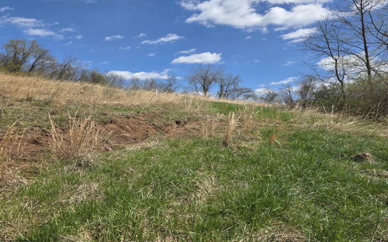 TBD Simpson Run Road, Weston, West Virginia 26452, ,Lots/land,For Sale,Simpson Run,10164098 TBD Simpson Run Road, Weston, West Virginia 26452, ,Lots/land,For Sale,Simpson Run,10164098