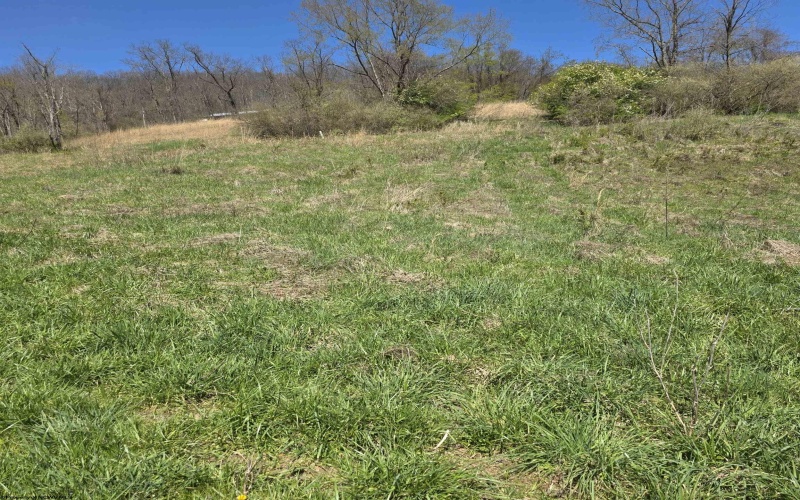 TBD Simpson Run Road, Weston, West Virginia 26452, ,Lots/land,For Sale,Simpson Run,10164098