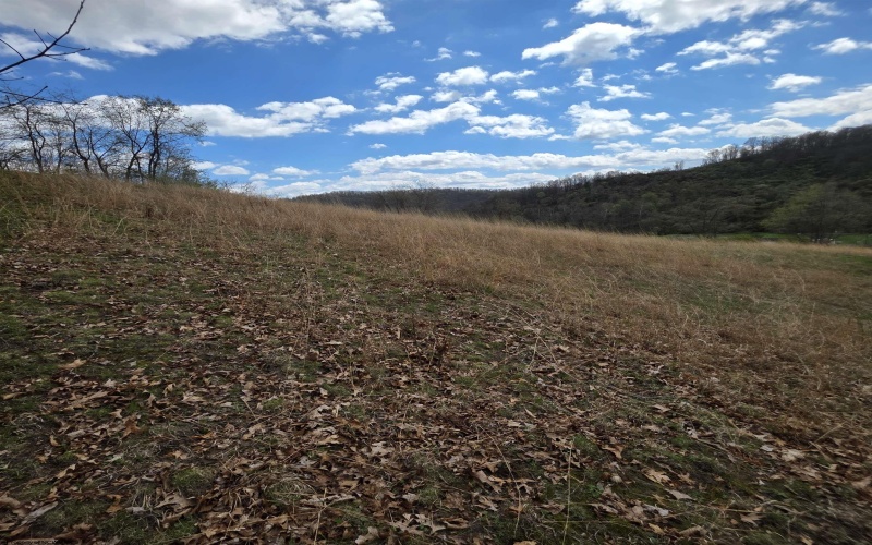 TBD Simpson Run Road, Weston, West Virginia 26452, ,Lots/land,For Sale,Simpson Run,10164098 TBD Simpson Run Road, Weston, West Virginia 26452, ,Lots/land,For Sale,Simpson Run,10164098