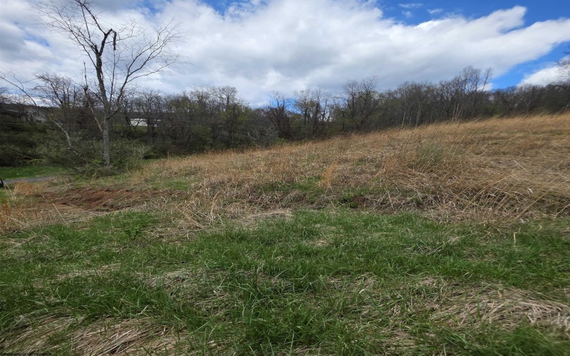 TBD Simpson Run Road, Weston, West Virginia 26452, ,Lots/land,For Sale,Simpson Run,10164098 TBD Simpson Run Road, Weston, West Virginia 26452, ,Lots/land,For Sale,Simpson Run,10164098