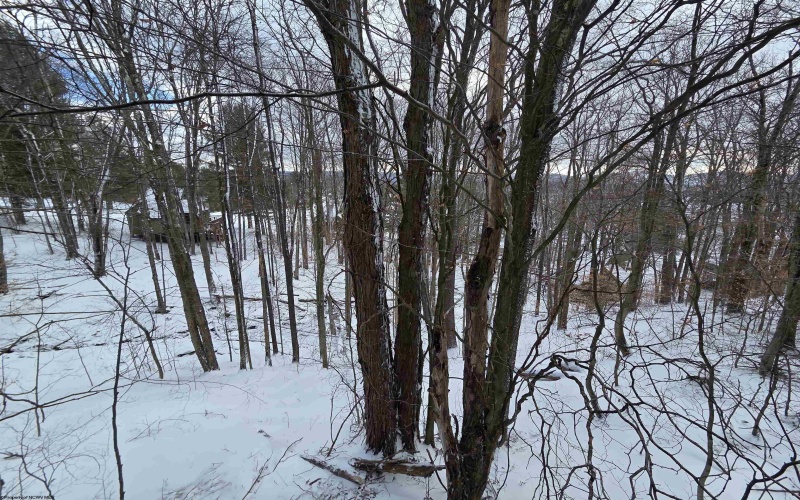 77 Wildflower Way, Davis, West Virginia 26260, 1 Bedroom Bedrooms, 4 Rooms Rooms,1 BathroomBathrooms,Single Family Detached,For Sale,Wildflower,10164117 77 Wildflower Way, Davis, West Virginia 26260, 1 Bedroom Bedrooms, 4 Rooms Rooms,1 BathroomBathrooms,Single Family Detached,For Sale,Wildflower,10164117