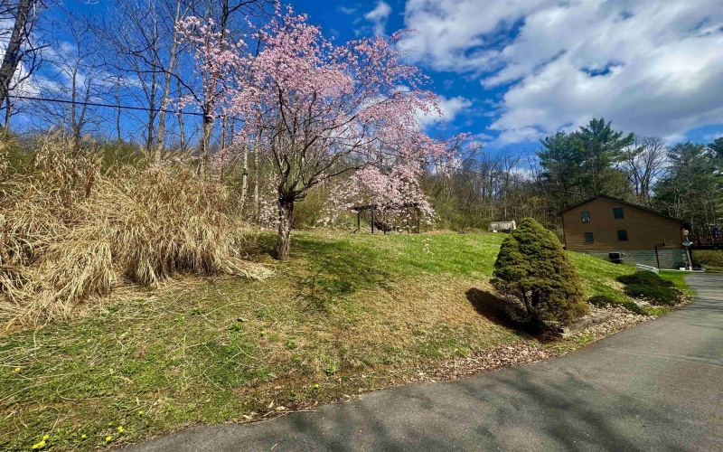 672 Buffalo Brink Road, Mannington, West Virginia 26582, 3 Bedrooms Bedrooms, 9 Rooms Rooms,2 BathroomsBathrooms,Single Family Detached,For Sale,Buffalo Brink,10164100 672 Buffalo Brink Road, Mannington, West Virginia 26582, 3 Bedrooms Bedrooms, 9 Rooms Rooms,2 BathroomsBathrooms,Single Family Detached,For Sale,Buffalo Brink,10164100