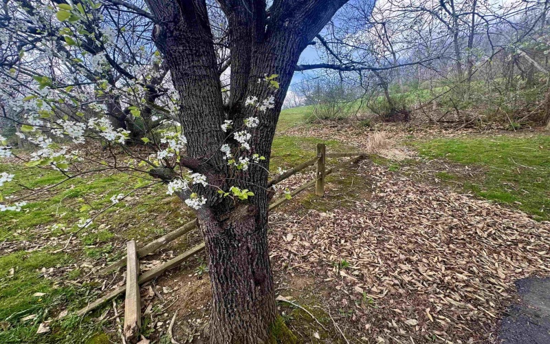 672 Buffalo Brink Road, Mannington, West Virginia 26582, 3 Bedrooms Bedrooms, 9 Rooms Rooms,2 BathroomsBathrooms,Single Family Detached,For Sale,Buffalo Brink,10164100 672 Buffalo Brink Road, Mannington, West Virginia 26582, 3 Bedrooms Bedrooms, 9 Rooms Rooms,2 BathroomsBathrooms,Single Family Detached,For Sale,Buffalo Brink,10164100