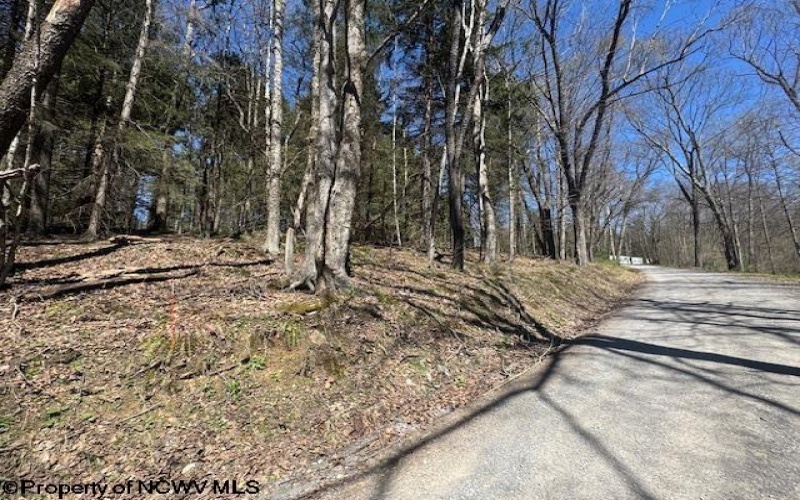 TBD Rexroad Farm Road, Bruceton Mills, West Virginia 26525, ,Lots/land,For Sale,Rexroad Farm,10164121 TBD Rexroad Farm Road, Bruceton Mills, West Virginia 26525, ,Lots/land,For Sale,Rexroad Farm,10164121