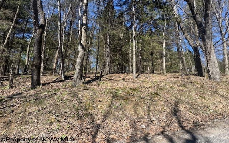 TBD Rexroad Farm Road, Bruceton Mills, West Virginia 26525, ,Lots/land,For Sale,Rexroad Farm,10164121 TBD Rexroad Farm Road, Bruceton Mills, West Virginia 26525, ,Lots/land,For Sale,Rexroad Farm,10164121