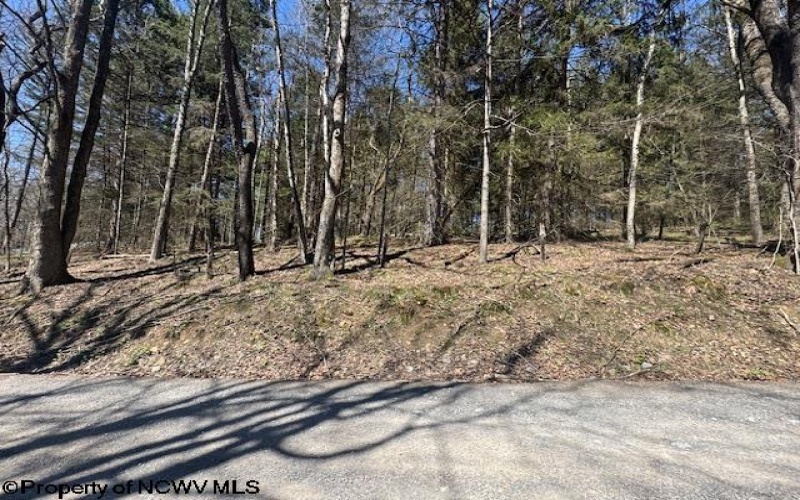 TBD Rexroad Farm Road, Bruceton Mills, West Virginia 26525, ,Lots/land,For Sale,Rexroad Farm,10164121 TBD Rexroad Farm Road, Bruceton Mills, West Virginia 26525, ,Lots/land,For Sale,Rexroad Farm,10164121