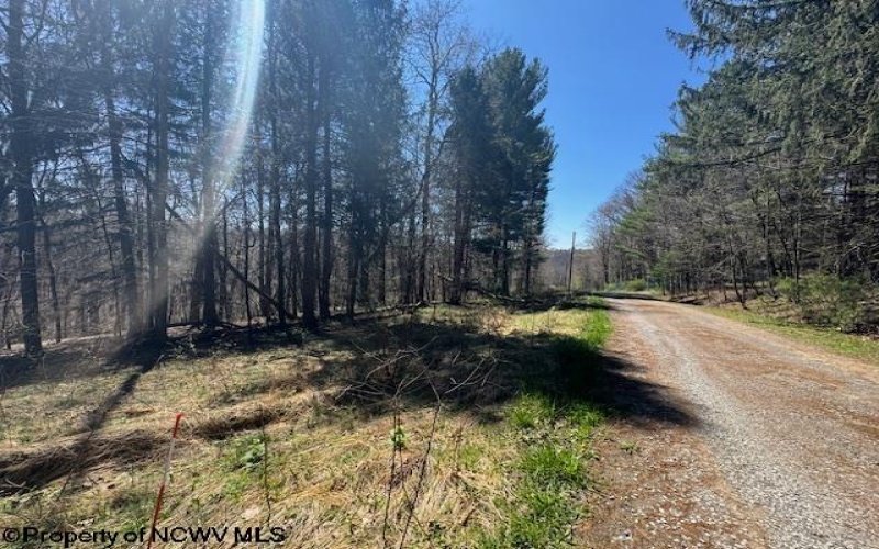 TBD Rexroad Farm Road, Bruceton Mills, West Virginia 26525, ,Lots/land,For Sale,Rexroad Farm,10164121 TBD Rexroad Farm Road, Bruceton Mills, West Virginia 26525, ,Lots/land,For Sale,Rexroad Farm,10164121