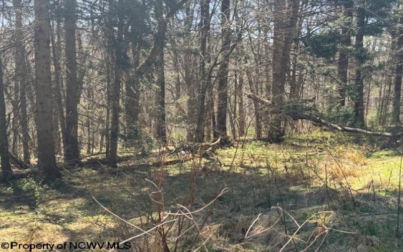 TBD Rexroad Farm Road, Bruceton Mills, West Virginia 26525, ,Lots/land,For Sale,Rexroad Farm,10164121 TBD Rexroad Farm Road, Bruceton Mills, West Virginia 26525, ,Lots/land,For Sale,Rexroad Farm,10164121