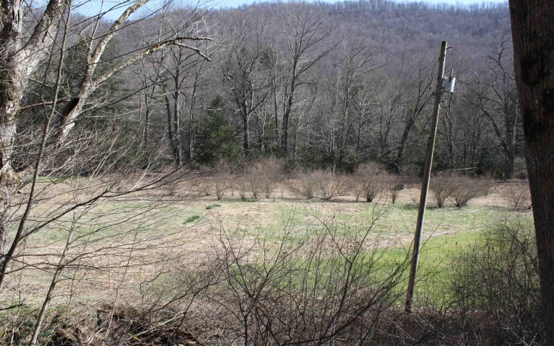 1625 Gauley River Road, Webster Springs, West Virginia 26288, ,Lots/land,For Sale,Gauley River,10164135