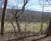 1625 Gauley River Road, Webster Springs, West Virginia 26288, ,Lots/land,For Sale,Gauley River,10164135