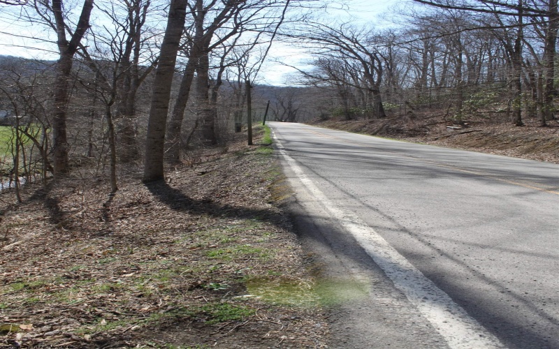 1625 Gauley River Road, Webster Springs, West Virginia 26288, ,Lots/land,For Sale,Gauley River,10164135