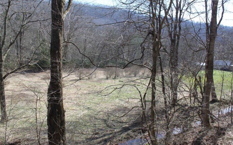 1625 Gauley River Road, Webster Springs, West Virginia 26288, ,Lots/land,For Sale,Gauley River,10164135