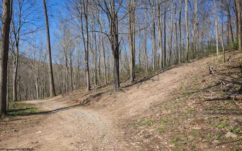 84 Thorne Drive, Fairmont, West Virginia 26588, 3 Bedrooms Bedrooms, 7 Rooms Rooms,2 BathroomsBathrooms,Single Family Detached,For Sale,Thorne,10164132 84 Thorne Drive, Fairmont, West Virginia 26588, 3 Bedrooms Bedrooms, 7 Rooms Rooms,2 BathroomsBathrooms,Single Family Detached,For Sale,Thorne,10164132