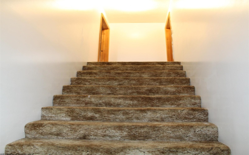 238 Excelsior Road, Webster Springs, West Virginia 26288, 2 Bedrooms Bedrooms, 8 Rooms Rooms,1 BathroomBathrooms,Single Family Detached,For Sale,Excelsior,10164138 238 Excelsior Road, Webster Springs, West Virginia 26288, 2 Bedrooms Bedrooms, 8 Rooms Rooms,1 BathroomBathrooms,Single Family Detached,For Sale,Excelsior,10164138