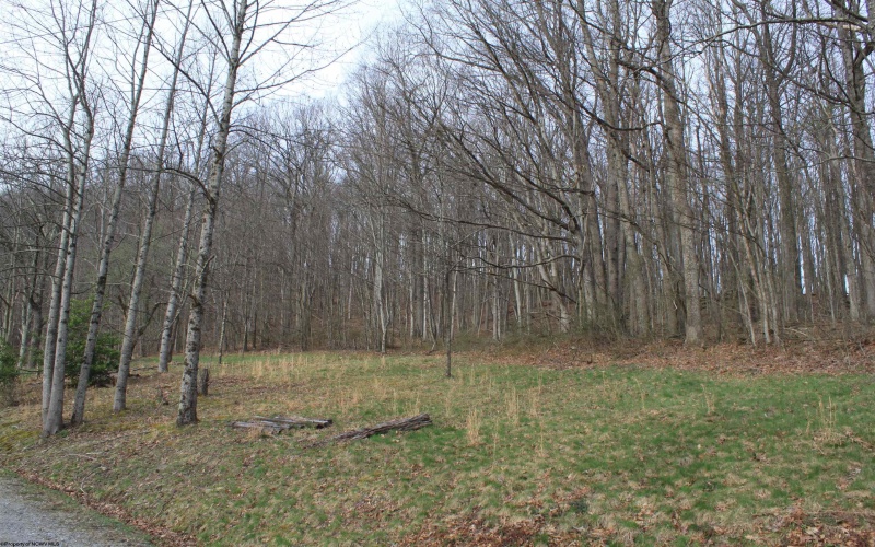 238 Excelsior Road, Webster Springs, West Virginia 26288, 2 Bedrooms Bedrooms, 8 Rooms Rooms,1 BathroomBathrooms,Single Family Detached,For Sale,Excelsior,10164138 238 Excelsior Road, Webster Springs, West Virginia 26288, 2 Bedrooms Bedrooms, 8 Rooms Rooms,1 BathroomBathrooms,Single Family Detached,For Sale,Excelsior,10164138