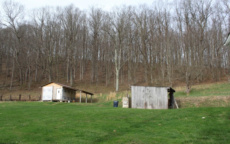 238 Excelsior Road, Webster Springs, West Virginia 26288, 2 Bedrooms Bedrooms, 8 Rooms Rooms,1 BathroomBathrooms,Single Family Detached,For Sale,Excelsior,10164138 238 Excelsior Road, Webster Springs, West Virginia 26288, 2 Bedrooms Bedrooms, 8 Rooms Rooms,1 BathroomBathrooms,Single Family Detached,For Sale,Excelsior,10164138