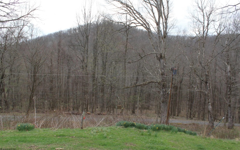 238 Excelsior Road, Webster Springs, West Virginia 26288, 2 Bedrooms Bedrooms, 8 Rooms Rooms,1 BathroomBathrooms,Single Family Detached,For Sale,Excelsior,10164138 238 Excelsior Road, Webster Springs, West Virginia 26288, 2 Bedrooms Bedrooms, 8 Rooms Rooms,1 BathroomBathrooms,Single Family Detached,For Sale,Excelsior,10164138