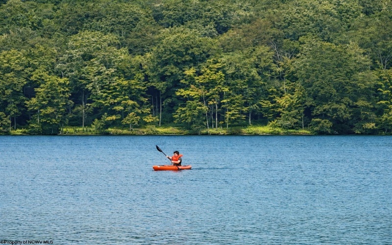 Lot 216 Aster Circle, Terra Alta, West Virginia 26764, ,Lots/land,For Sale,Aster,10164144