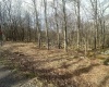 Lot 216 Aster Circle, Terra Alta, West Virginia 26764, ,Lots/land,For Sale,Aster,10164144
