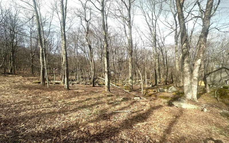 Lot 216 Aster Circle, Terra Alta, West Virginia 26764, ,Lots/land,For Sale,Aster,10164144