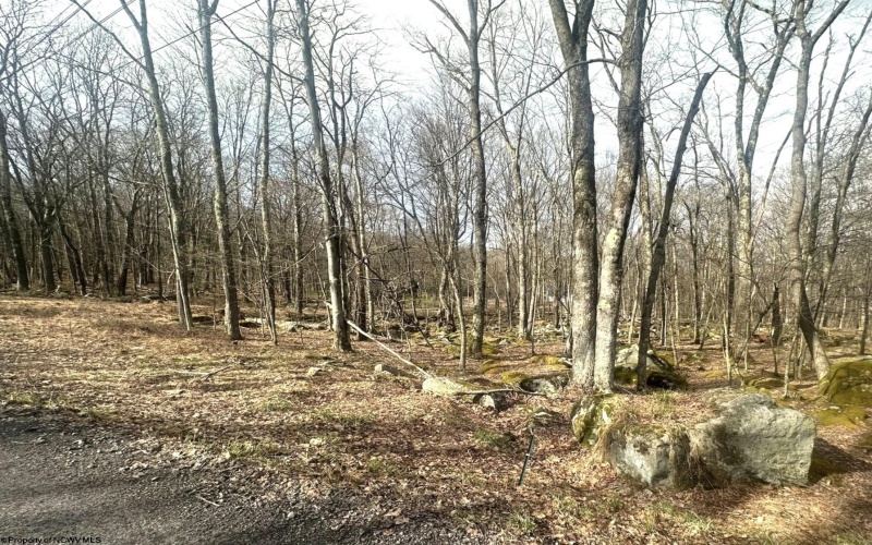 Lot 216 Aster Circle, Terra Alta, West Virginia 26764, ,Lots/land,For Sale,Aster,10164144