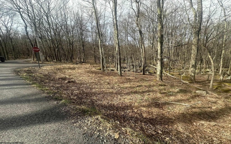Lot 216 Aster Circle, Terra Alta, West Virginia 26764, ,Lots/land,For Sale,Aster,10164144