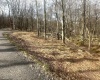 Lot 216 Aster Circle, Terra Alta, West Virginia 26764, ,Lots/land,For Sale,Aster,10164144