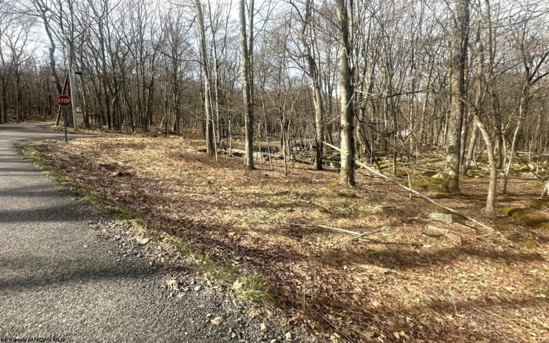 Lot 216 Aster Circle, Terra Alta, West Virginia 26764, ,Lots/land,For Sale,Aster,10164144