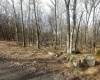 Lot 216 Aster Circle, Terra Alta, West Virginia 26764, ,Lots/land,For Sale,Aster,10164144