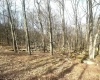 Lot 216 Aster Circle, Terra Alta, West Virginia 26764, ,Lots/land,For Sale,Aster,10164144