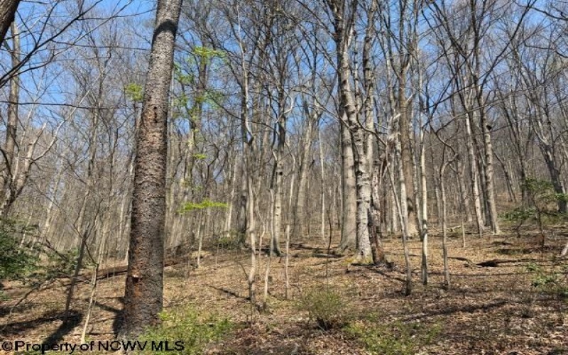 1011 Main Street, Philippi, West Virginia 26416, ,Lots/land,For Sale,Main,10164156