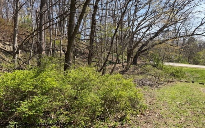 1011 Main Street, Philippi, West Virginia 26416, ,Lots/land,For Sale,Main,10164156