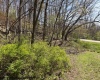 1011 Main Street, Philippi, West Virginia 26416, 0 , 0 ,0,Lots/land,For Sale,Main,0,10164156