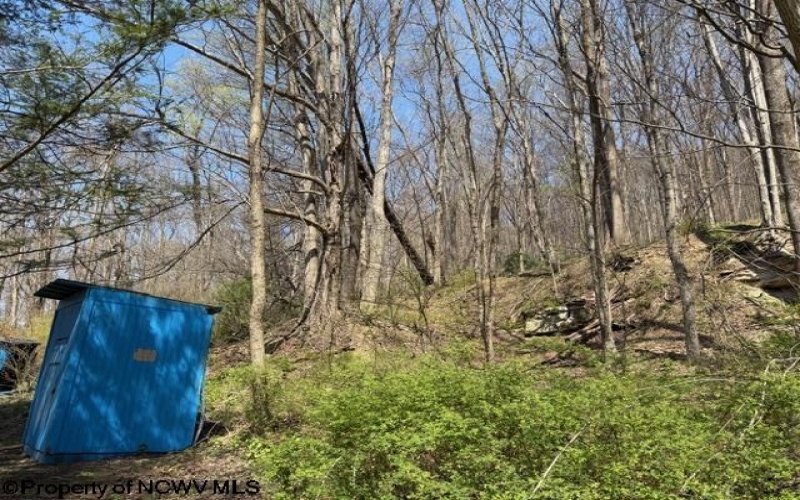 1011 Main Street, Philippi, West Virginia 26416, ,Lots/land,For Sale,Main,10164156