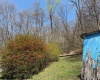 1011 Main Street, Philippi, West Virginia 26416, ,Lots/land,For Sale,Main,10164156