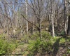 1011 Main Street, Philippi, West Virginia 26416, ,Lots/land,For Sale,Main,10164156