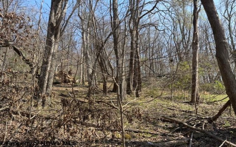 1011 Main Street, Philippi, West Virginia 26416, ,Lots/land,For Sale,Main,10164156