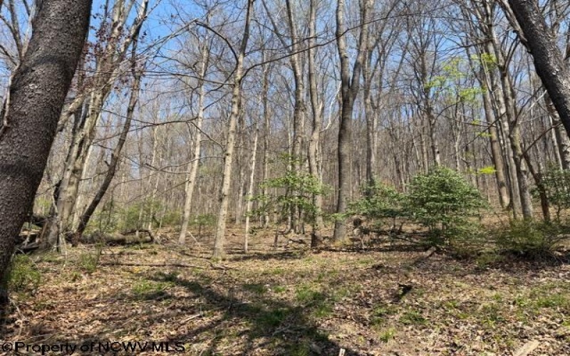 1011 Main Street, Philippi, West Virginia 26416, ,Lots/land,For Sale,Main,10164156