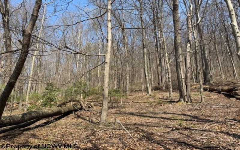 1011 Main Street, Philippi, West Virginia 26416, ,Lots/land,For Sale,Main,10164156