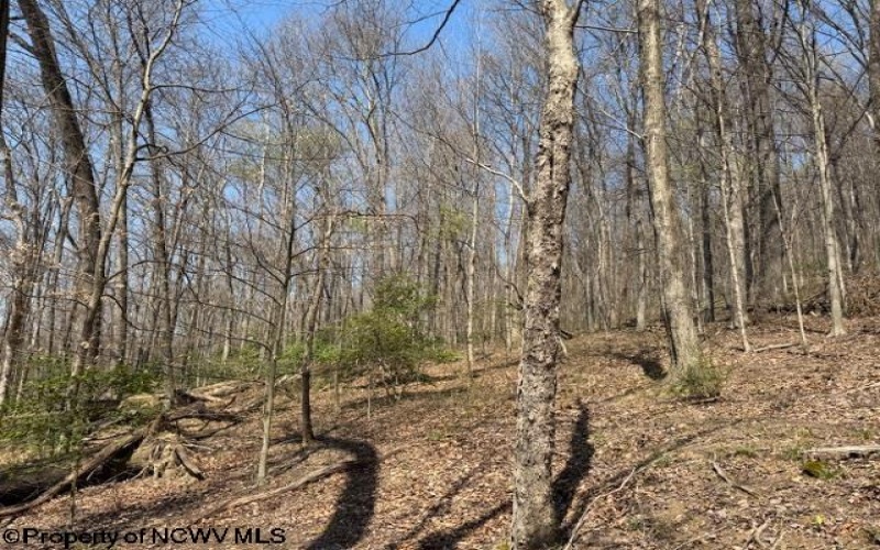 1011 Main Street, Philippi, West Virginia 26416, ,Lots/land,For Sale,Main,10164156