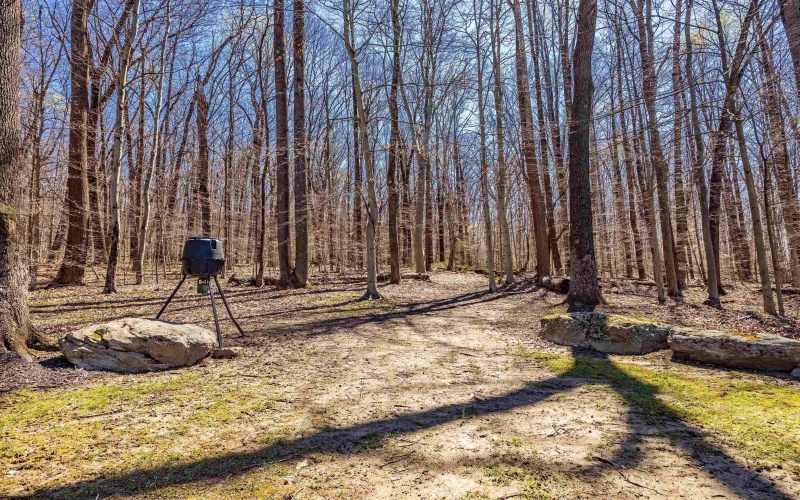 99 Jo Glen Drive, Morgantown, West Virginia 26508, 3 Bedrooms Bedrooms, 11 Rooms Rooms,3 BathroomsBathrooms,Single Family Detached,For Sale,Jo Glen,10164152 99 Jo Glen Drive, Morgantown, West Virginia 26508, 3 Bedrooms Bedrooms, 11 Rooms Rooms,3 BathroomsBathrooms,Single Family Detached,For Sale,Jo Glen,10164152