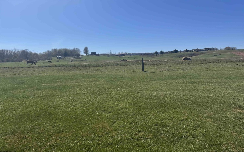 TBD Freeland Road, Davis, West Virginia 26260, ,Lots/land,For Sale,Freeland,10164161 TBD Freeland Road, Davis, West Virginia 26260, ,Lots/land,For Sale,Freeland,10164161