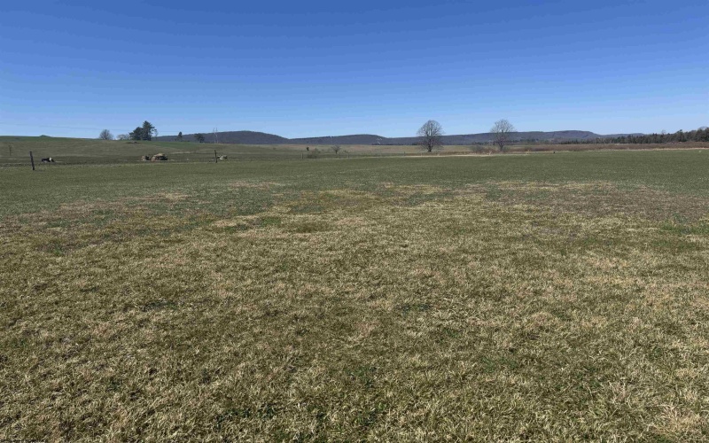 TBD Freeland Road, Davis, West Virginia 26260, ,Lots/land,For Sale,Freeland,10164161 TBD Freeland Road, Davis, West Virginia 26260, ,Lots/land,For Sale,Freeland,10164161