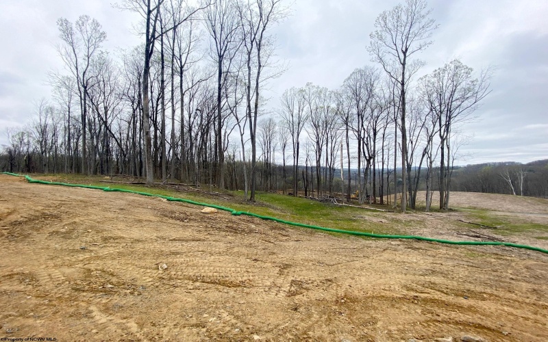 339 Dye Lane, Morgantown, West Virginia 26501, 4 Bedrooms Bedrooms, 8 Rooms Rooms,2 BathroomsBathrooms,Single Family Detached,For Sale,Dye,10164197