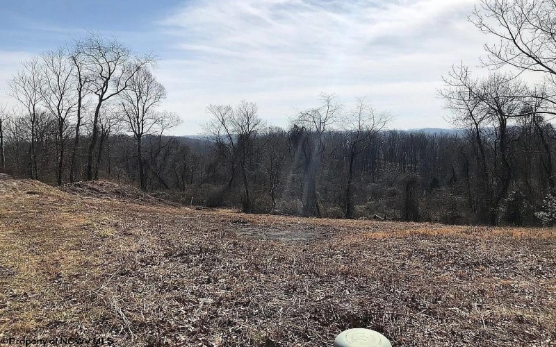 32 Springston Drive, Fairmont, West Virginia 26554, ,Lots/land,For Sale,Springston,10164204 32 Springston Drive, Fairmont, West Virginia 26554, ,Lots/land,For Sale,Springston,10164204