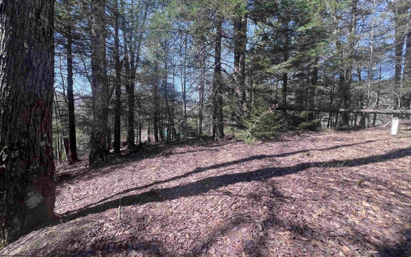 116 Blackdog Run Road, Bowden, West Virginia 26254, 3 Bedrooms Bedrooms, 7 Rooms Rooms,2 BathroomsBathrooms,Single Family Detached,For Sale,Blackdog Run,10164205