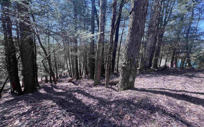 116 Blackdog Run Road, Bowden, West Virginia 26254, 3 Bedrooms Bedrooms, 7 Rooms Rooms,2 BathroomsBathrooms,Single Family Detached,For Sale,Blackdog Run,10164205