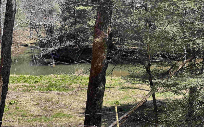 116 Blackdog Run Road, Bowden, West Virginia 26254, 3 Bedrooms Bedrooms, 7 Rooms Rooms,2 BathroomsBathrooms,Single Family Detached,For Sale,Blackdog Run,10164205